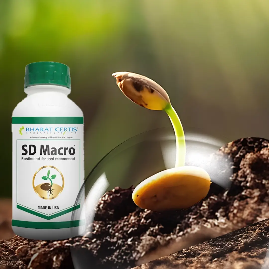 Powering Up Seedlings with SD Macro Biostimulant